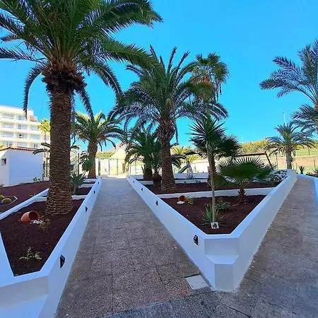 Ocean View Penthouse Apartment